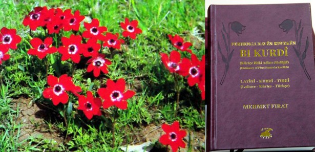 Kürtçe bitki isimleri sözlüğü çıktı