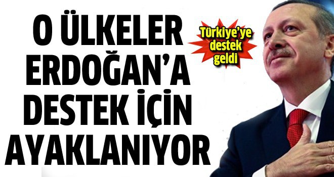 6 ülkeden Başbakan Erdoğan'a destek mitingi