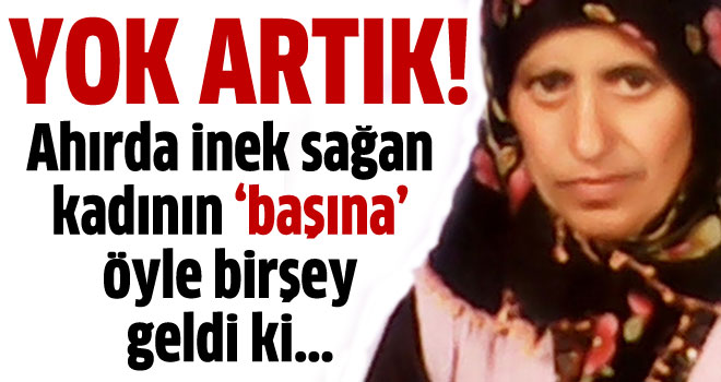 İnek sağarken üstüne boğa düştü