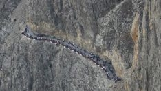 Erzincan Kemaliye şenlikleri başladı