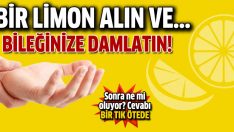Limonun inanılmaz faydaları