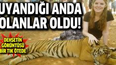 Genç kızın dev kaplanla yaşadığı kabus anları