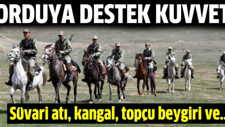 Orduya destek olarak süvari atı