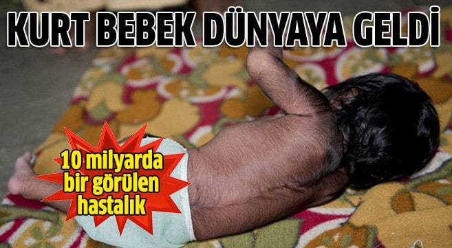 Kurt ailesine yeni biri katıldı