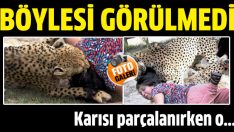 Karısı parçalanırken o fotoğraflarını çekti