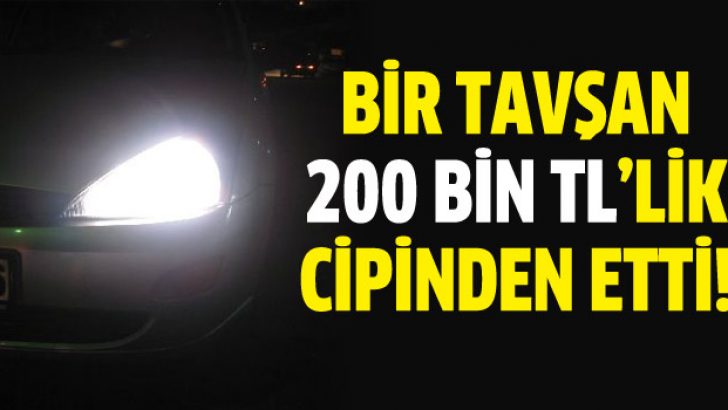Tavşan avı 200 bin TL’lik cipine mal oldu