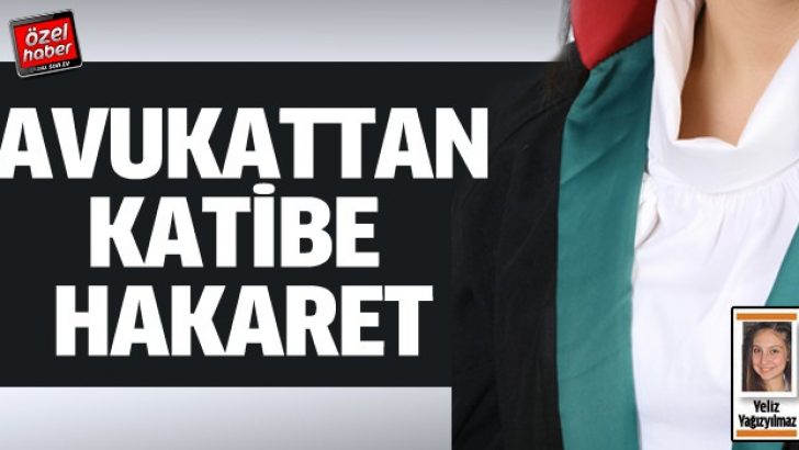 Görevli memura hakarete 2 yıl hapis