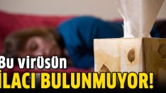 H3N2 salgınının ilacı piyasada bulunmuyor