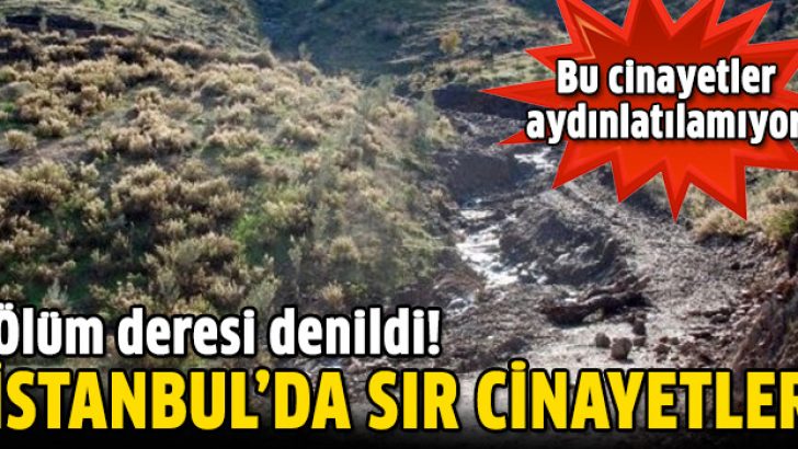 İstanbul’da seri cinayetler