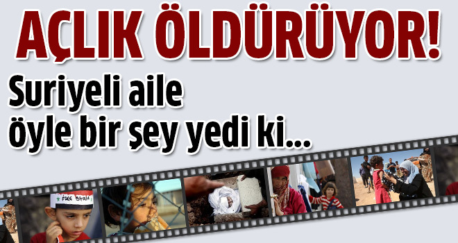 Açlıktan bakın ne yediler!