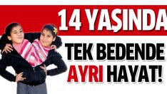 Tek bedende iki farklı hayat