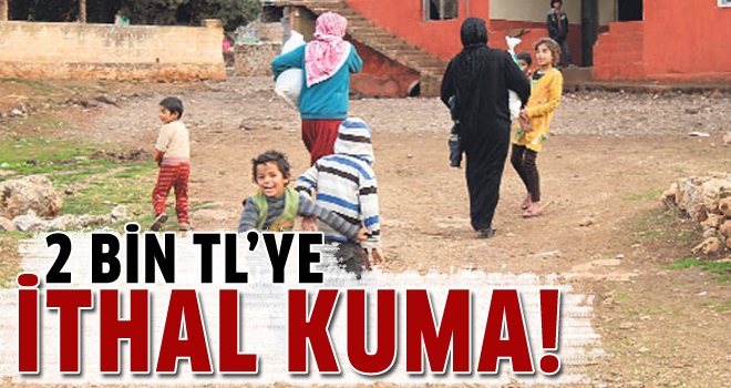 2 bin TL'ye ithal kuma!
