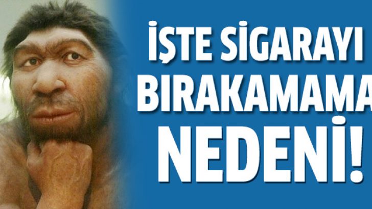 Neandertal genlerin mirası: Sigara tiryakiliği
