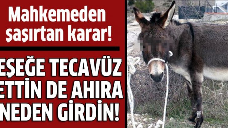 Eşeğe tecavüze mahkemeden şaşırtan karar
