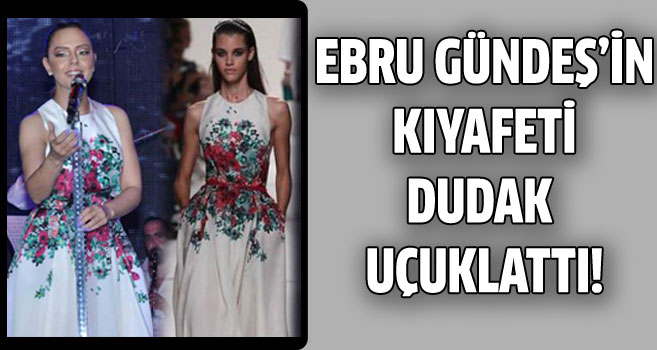 Ebru Gündeş'in kıyafeti dudak uçuklattı!