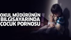 Okul müdürünün bilgisayarında çocuk pornosu bulundu!