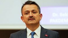 Hükümetten sera çiftçisine 30 milyon lira tazminat