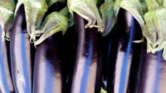 Patlıcanın fiyatı yüzde 40 düştü!