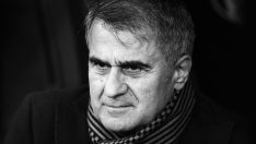 TFF resmen duyurdu! A Milli takımın yeni hocası Şenol Güneş oldu