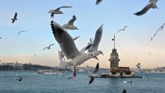 Marmara’da sıcaklık artıyor! Toz taşınımına dikkat!