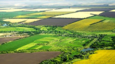 Cumhurbaşkanı’nı talimat vermişti: 14 bin dekar arazi çiftçilere tahsis edilecek