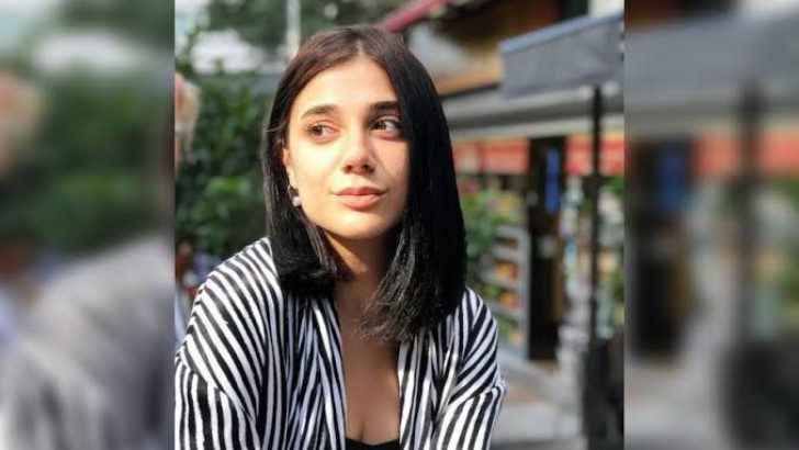 Pınar Gültekin kararı Yargı’yı ikiye böldü