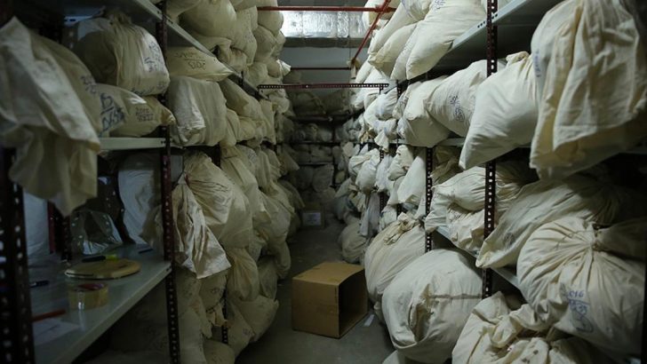 Kınık Adliyesi’nde skandal! Sahte imha tutanağıyla 2 kilo uyuşturucu çalındı: 3’ü memur 5 şüpheli tutuklandı