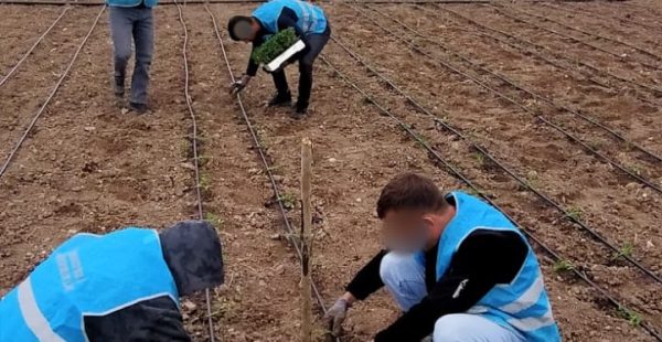Eskişehir’de “Ferah Bahçe” projesi büyüyor: Denetimli serbestlik yükümlüleri toprakla rehabilite ediliyor
