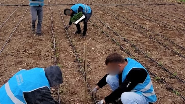 Eskişehir’de “Ferah Bahçe” projesi büyüyor: Denetimli serbestlik yükümlüleri toprakla rehabilite ediliyor