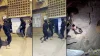 Adana’da iki suç örgütüne dev operasyon! ‘Atariciler’ ve ‘Kurşunlar’a ağır darbe!