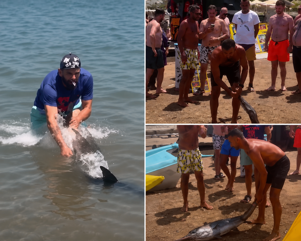 Marmaris’te kılıç balığını kuyruğundan tutup karaya çıkardı: Cezadan kaçamadı!