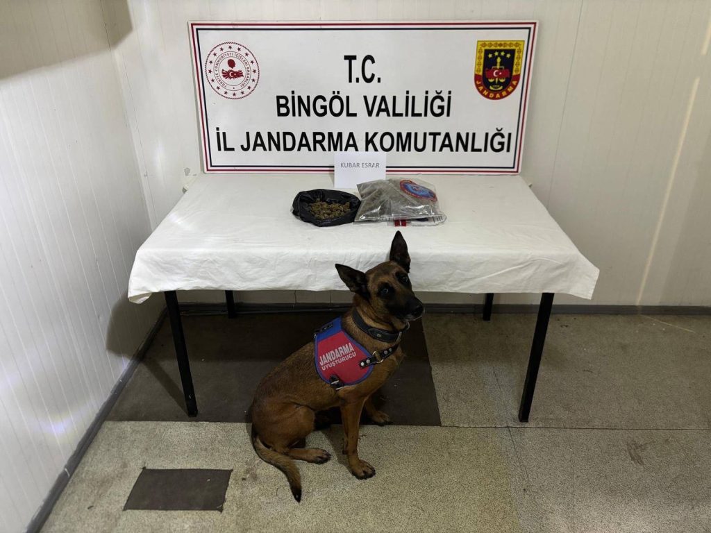 Bingöl’de jandarmadan suçlulara darbe: 4 firari hükümlü yakalandı! 17 şüpheli hakkında işlem yapıldı!